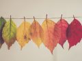 Why People Gain Weight in the Fall