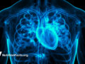 Blue illustration of circulatory system