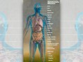 Fighting Lupus With Turmeric: Good as Gold